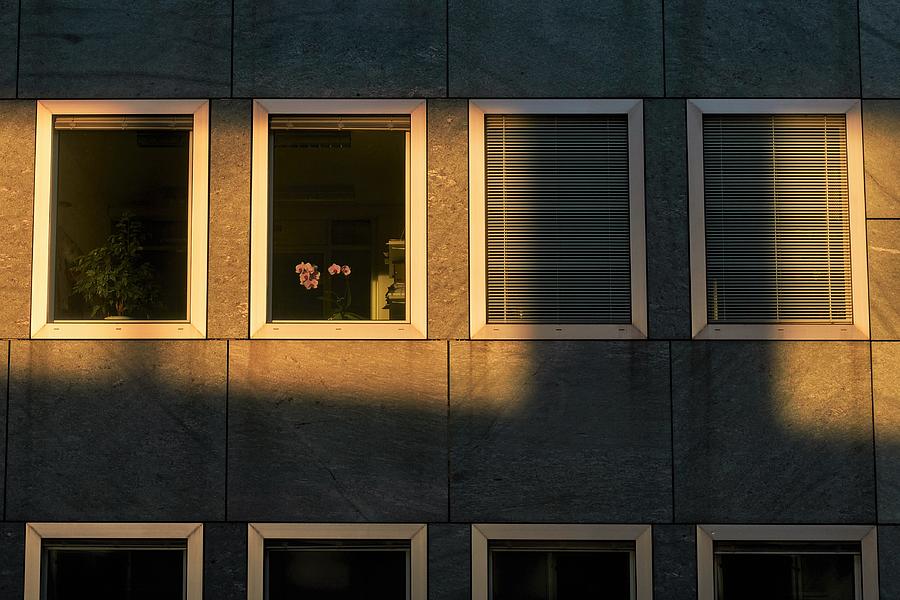 Office Windows On A Sunday Evening Photograph by Matthias Lscher