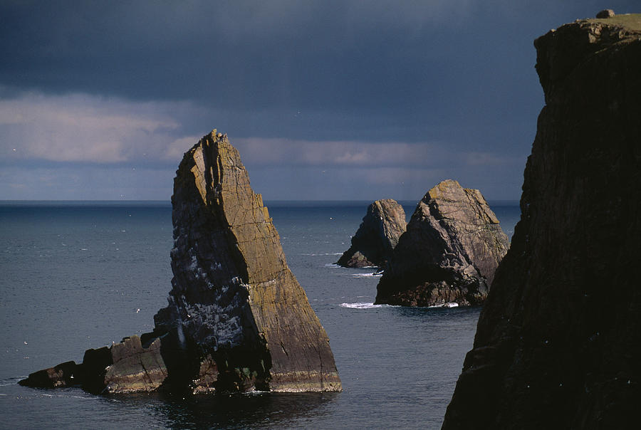 Offshore Stacks  Fair Isle  Shetland Photograph by Nhpa