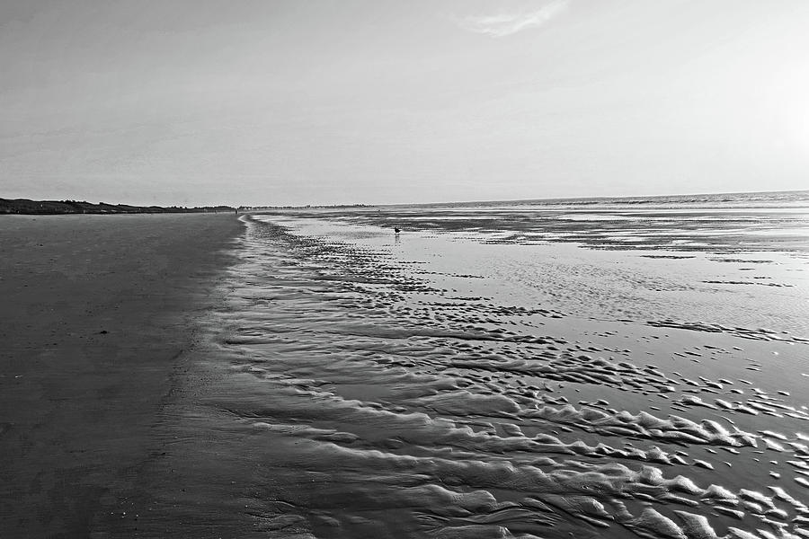 Ogunquit Beach Sand Patterns Ogunquit Maine Sunrise Black and White Photograph by Toby McGuire