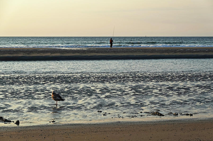 Ogunquit Beach Seagull and FIsherman at Sunrise Ogunquit Maine Photograph by Toby McGuire