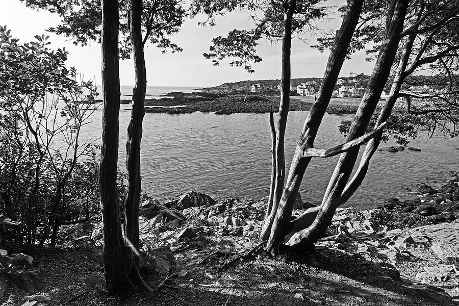 Ogunquit Maine View from Marginal Way Black and White Photograph by Toby McGuire
