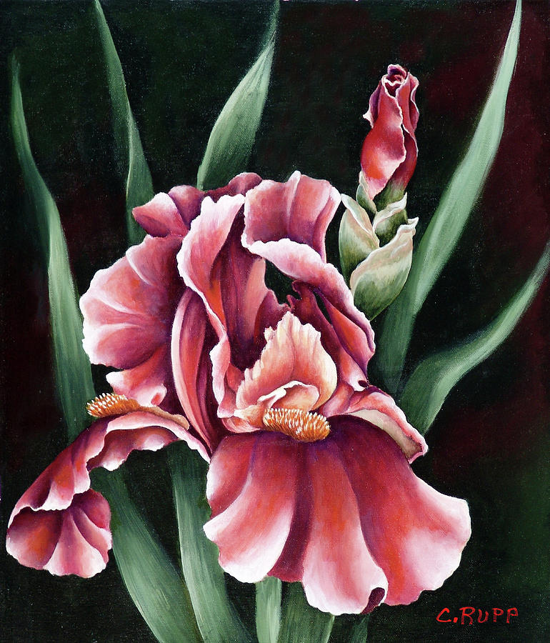 Flower Painting - Oh So Red by Carol J Rupp