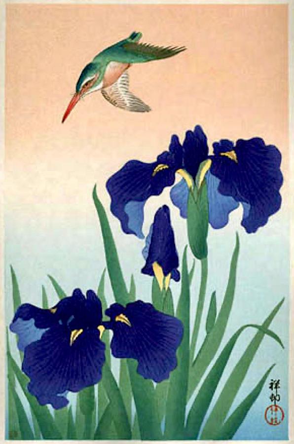 Ohara Koson Drawing - Ohara Koson Artwork Entitled Kingfisher by Steeve. E. Flowers.