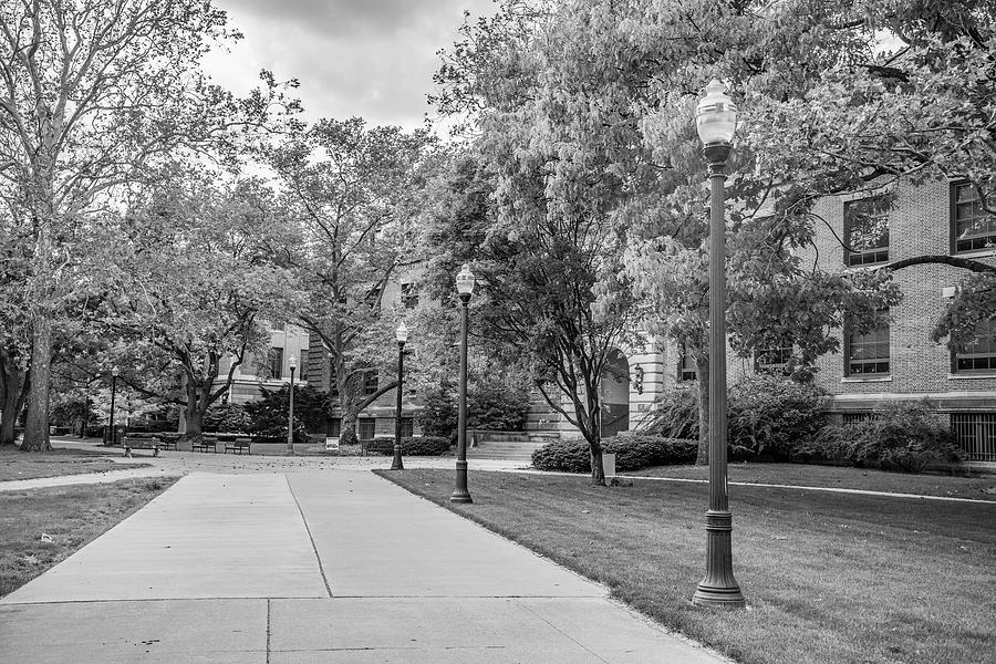 Ohio State University Black and White 4 Photograph by John McGraw