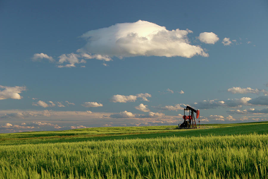 Oil Field And Pumpjack In Alberta Photograph by Imaginegolf