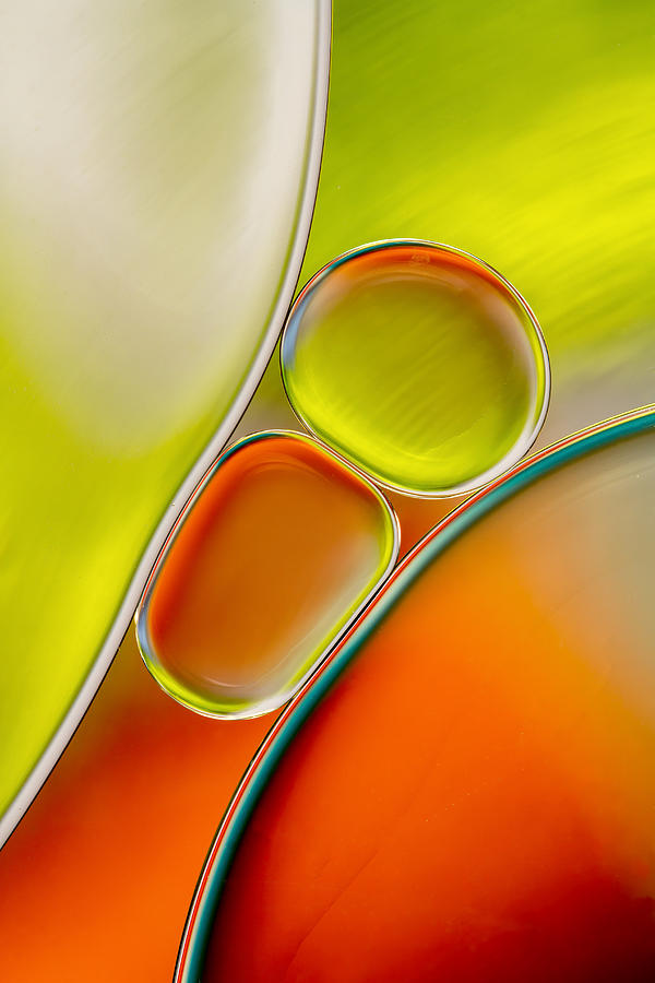 Oil Photograph by Mandy Disher