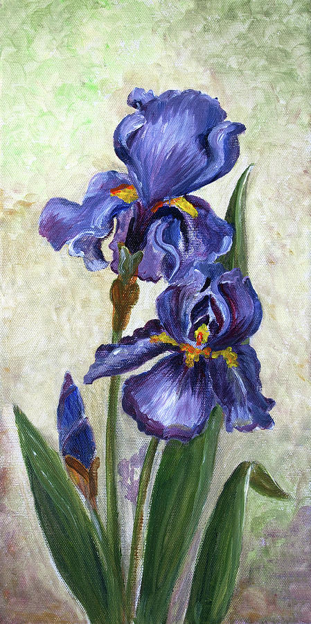 Oil Painted Canvas With Blue Iris Digital Art by Mitza