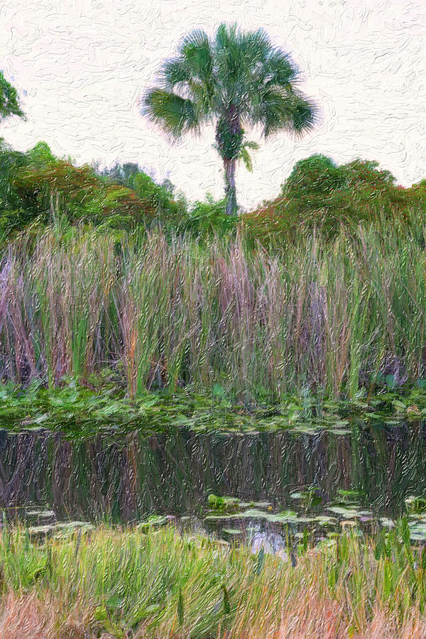 Oil Painting Of Palm Tree In The Marshes Digital Art by Laura Diez