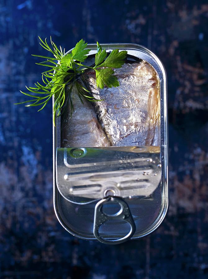 Oily Sardines In A Tin With Dill And Flat Leaf Parsley seen From Above Photograph by Ludger Rose