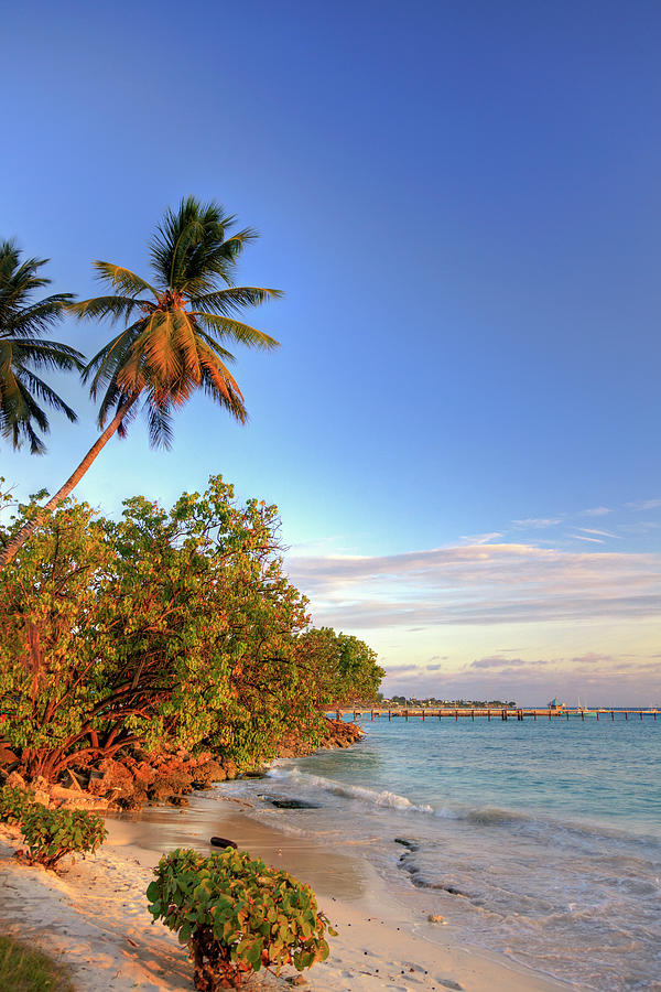 Oistins Beach, Barbados Photograph by Michele Falzone