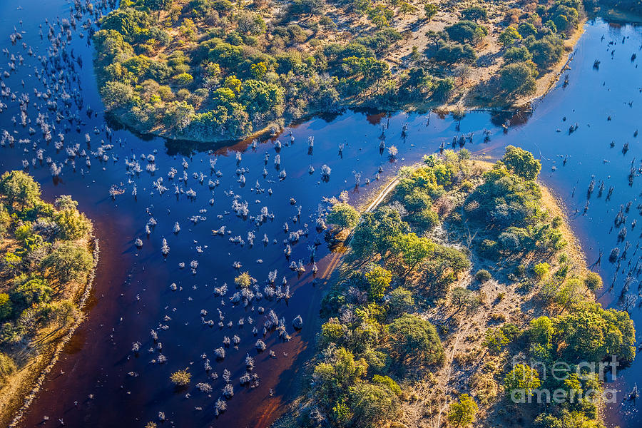 Delta Photograph - Okavango Delta Okavango Grassland Is by Vadim Petrakov Delta Photograph - Okavango Delta Okavango Grassland Is by Vadim Petrakov