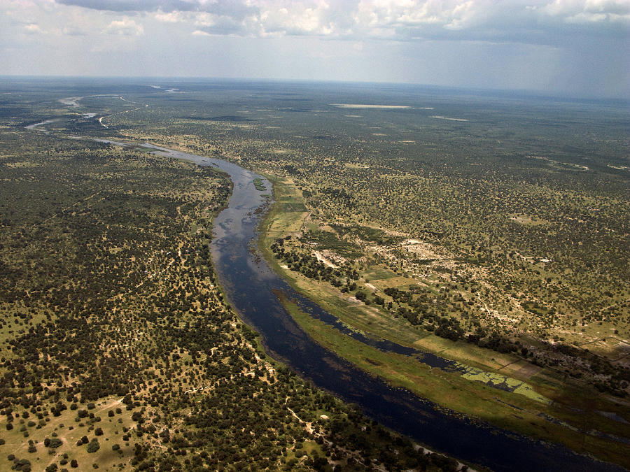 Okavango River Delta Photograph by David Hosking