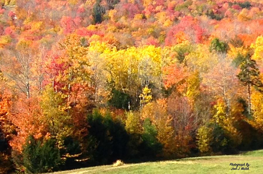 Okemo Jackson Gore Foliage Photograph by Joel Malek - Pixels