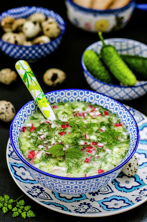 Okroschka cold Vegetable Soup, Russia Photograph by Gorobina