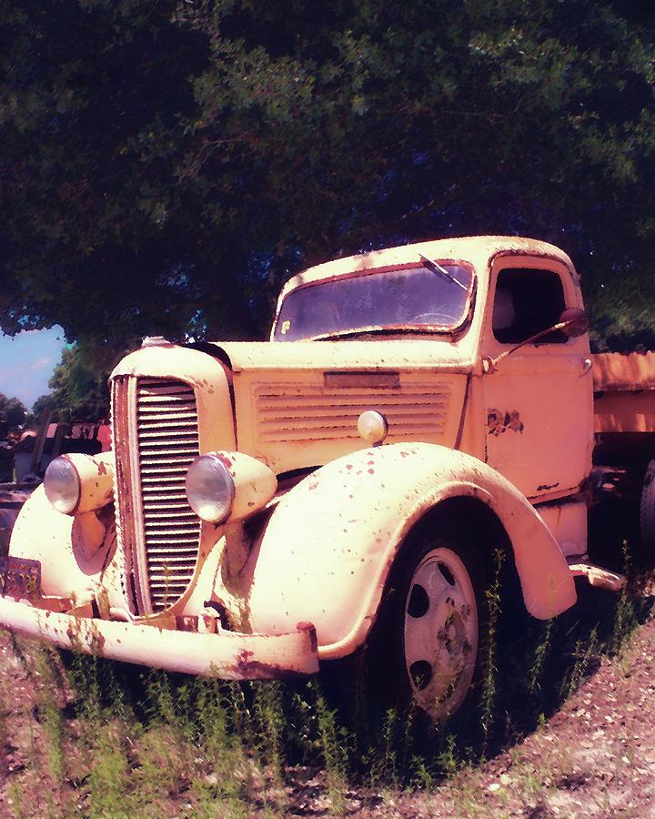 Ol Dodge Truck Photograph by Timothy Bulone