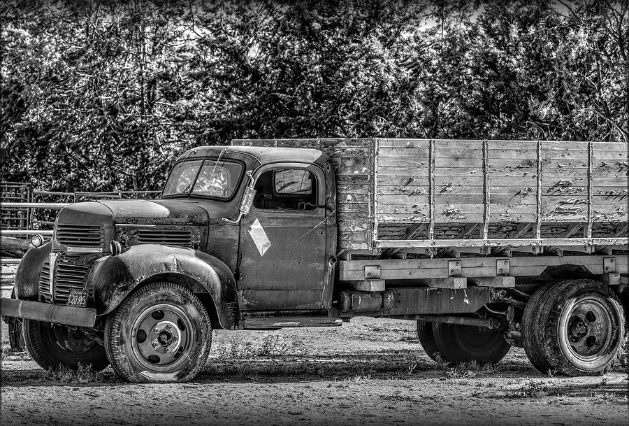 Ol Farm Truck Photograph by Debra Kewley