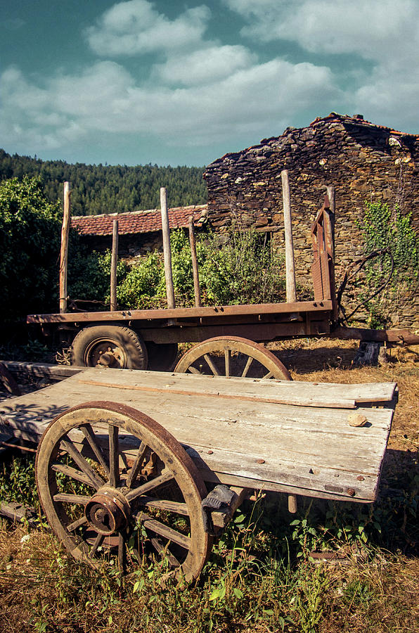 Old Abandoned Wagons Photograph by Carlos Caetano