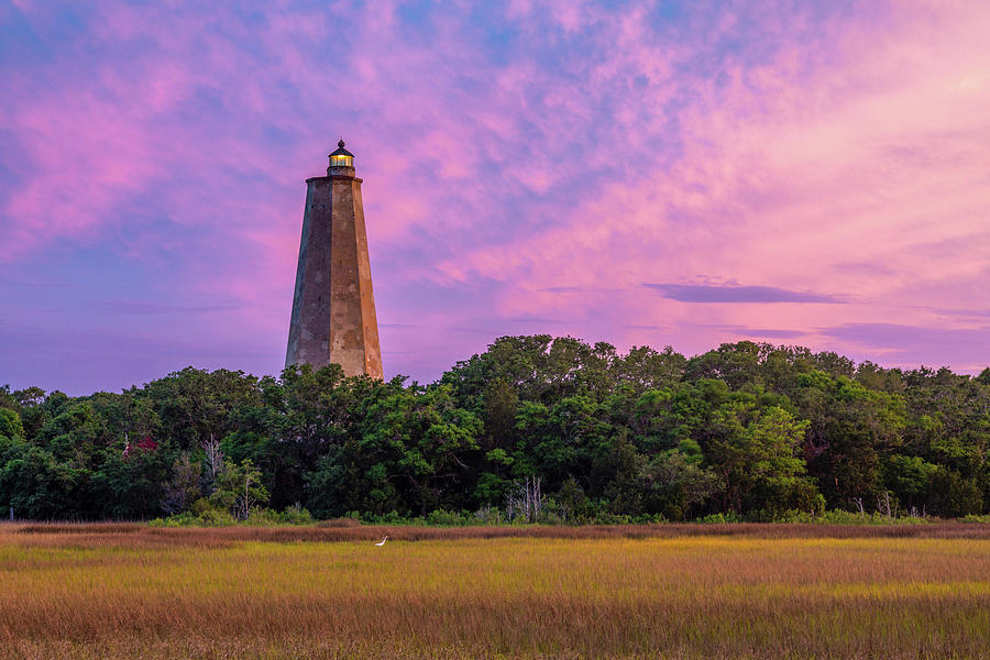 Image result for old baldy