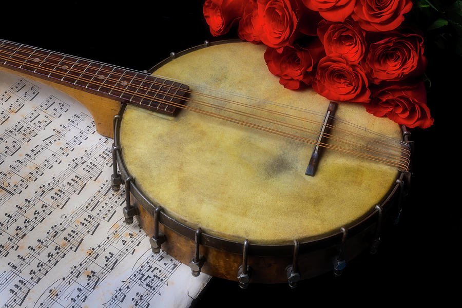 Banjo Photograph - Old Banjo And Red Roses by Garry Gay