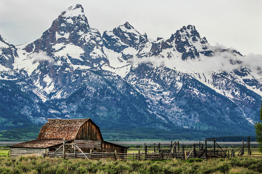 Old Barn And The Tetons  Photograph by Jordan Hill