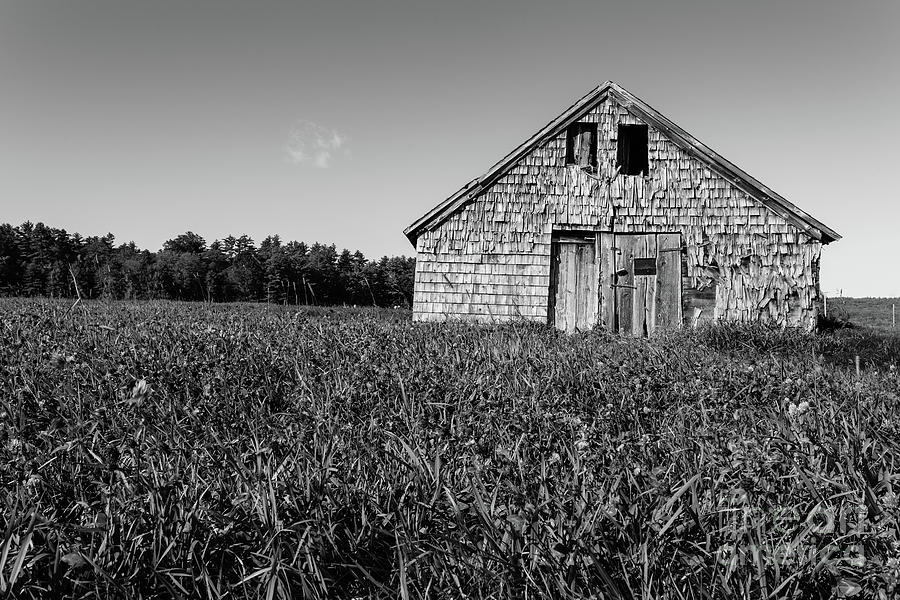 Old Barn Andover New Hampshire Black and White Photograph by Edward Fielding