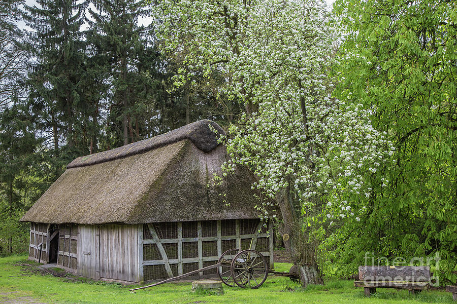 Old Barn in Spring by Eva Lechner Old Barn in Spring by Eva Lechner