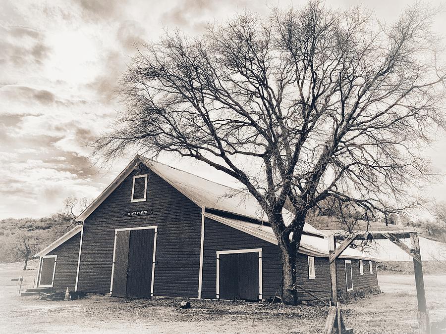Old Barn Photograph by Steph Gabler