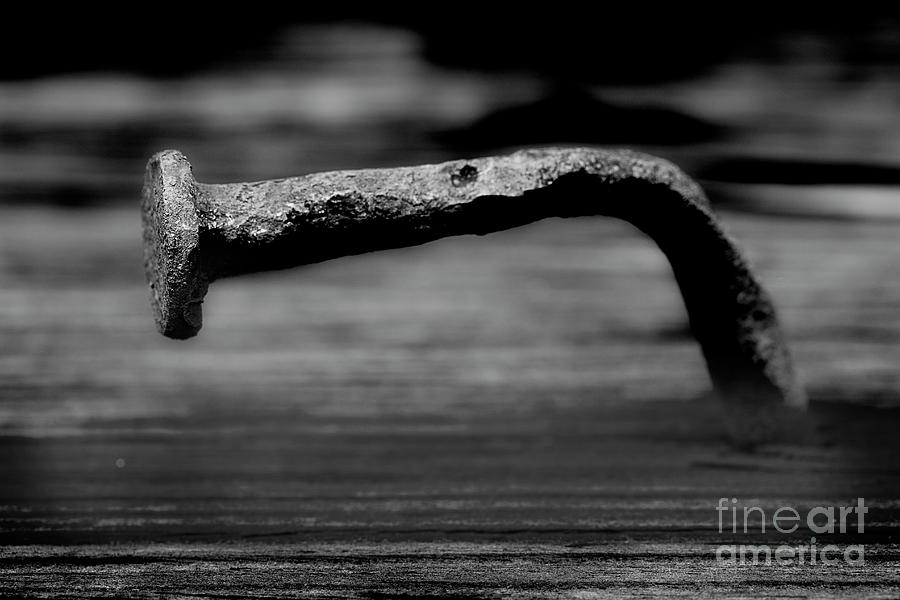 Old Bent Nail Photograph by Mike Eingle