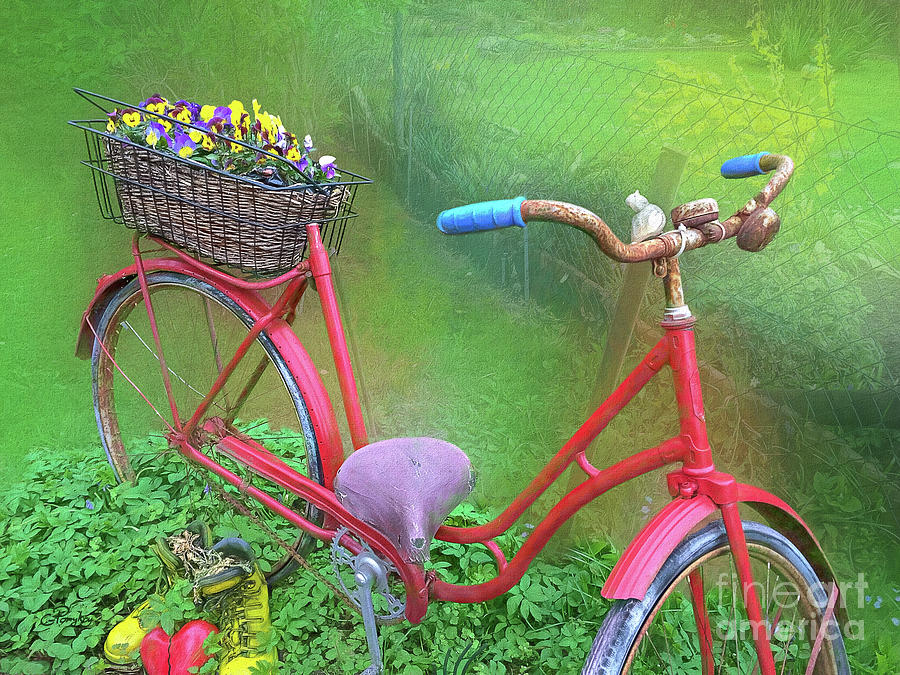 Old Bicycle Garden Decoration Photograph by Gabriele Pomykaj - Fine Art ...