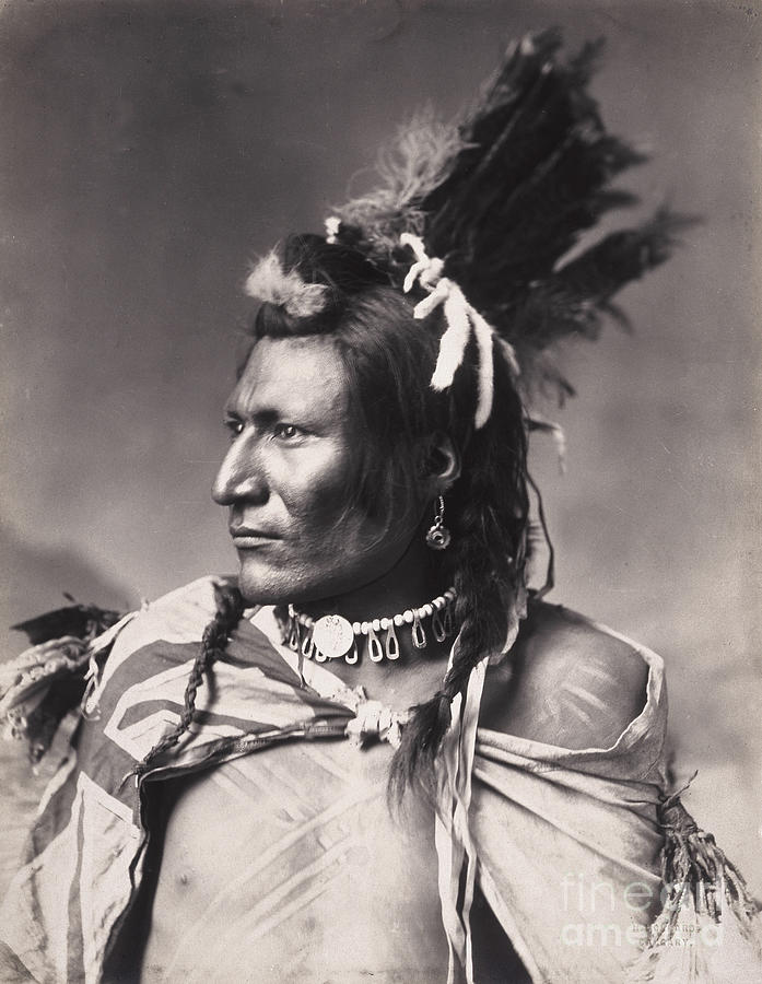 old Brass, A Native North American, 19th Century Photograph by American School