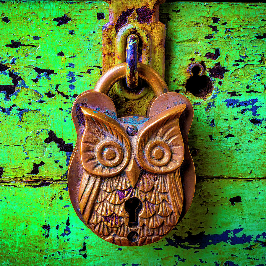 Old Brass Owl Pad Lock Photograph by Garry Gay