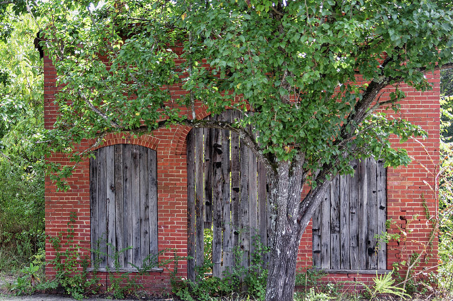 Abandoned Photograph - Old Brick Building Behind Tree by Randy Bayne Abandoned Photograph - Old Brick Building Behind Tree by Randy Bayne