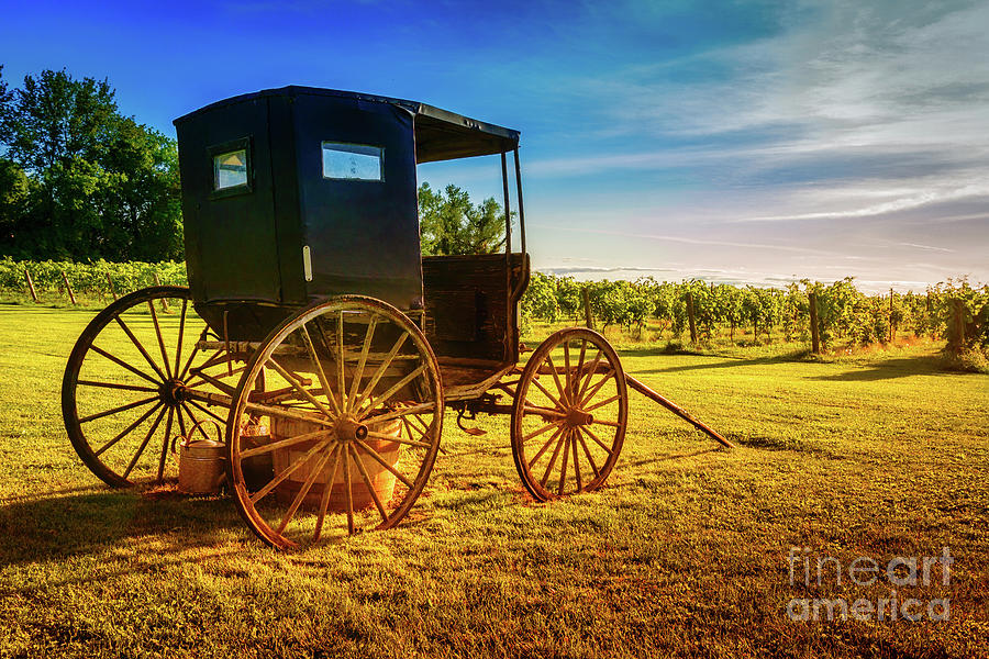 Old Horse Buggy 1 Photograph