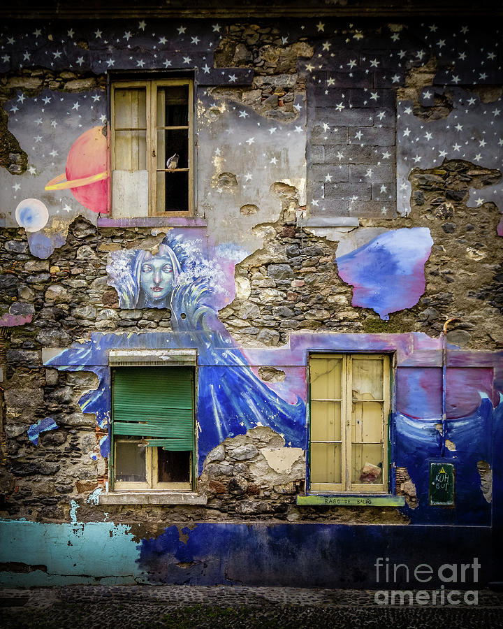 Architecture Photograph - Old Building Mural in Funchal, Madeira, Portugal 3 by Liesl Walsh