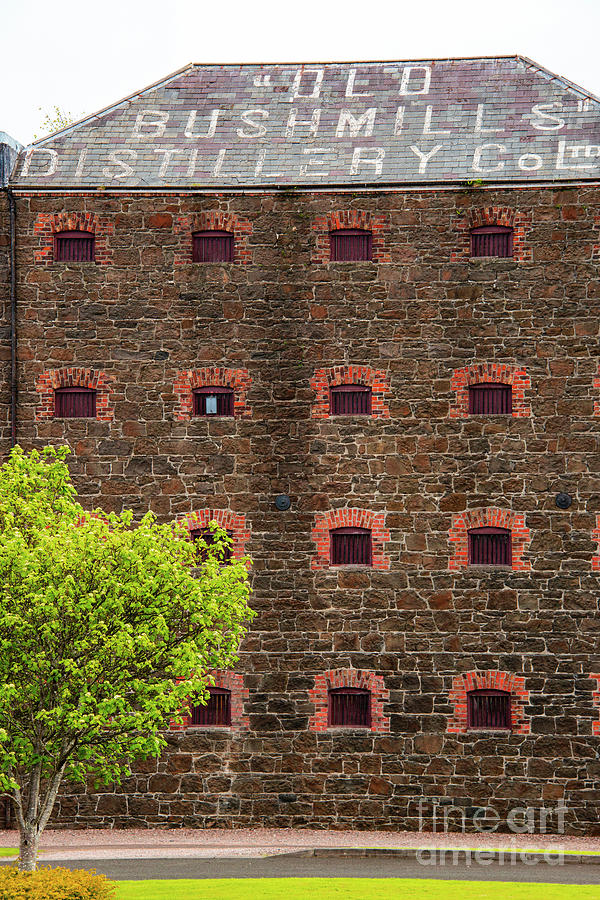  Old Bushmills Distillery Photograph by Bob Phillips