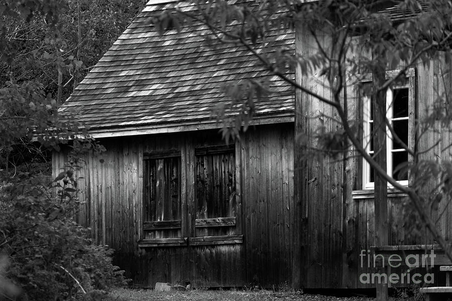 Old Cabin In The Woods Photograph By Celine Bisson