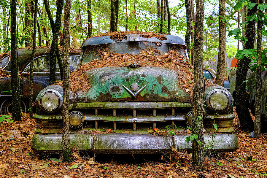 Old Caddy into Trees Photograph by Darryl Brooks