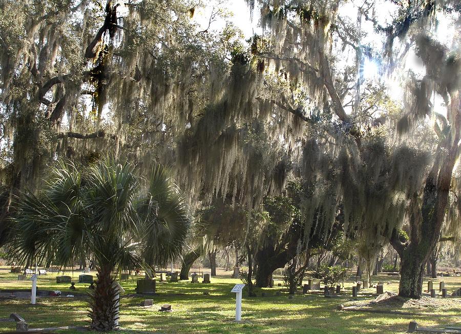 Old Cemetery with Moss Covered Trees Photograph by Yvonne Sewell