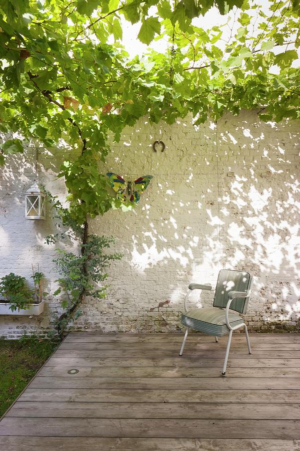 Old Chair On Terrace Under Grape Vine Growing Over Pergola Photograph by Liesbet Goetschalckx