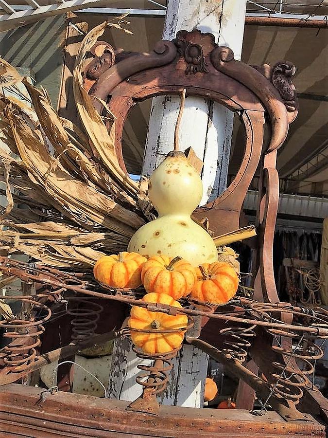 Old Chair with Gourds Photograph by Elaine Duras