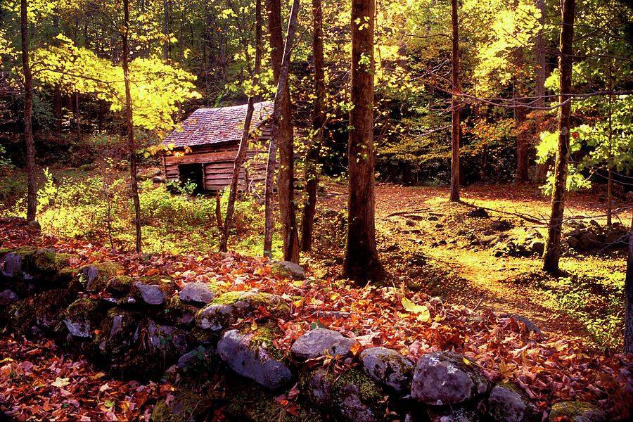Old Corn Crib in the Woods Photograph by Paul W Faust - Impressions of Light