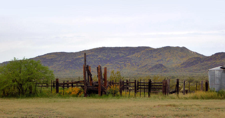 Old Corral Photograph by Gordon Beck
