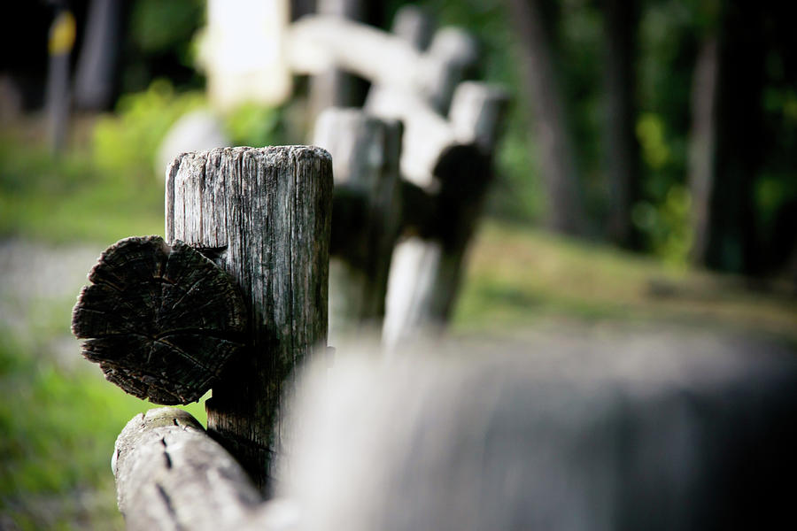 Old Country Fence Photograph by Paolomartinezphotography