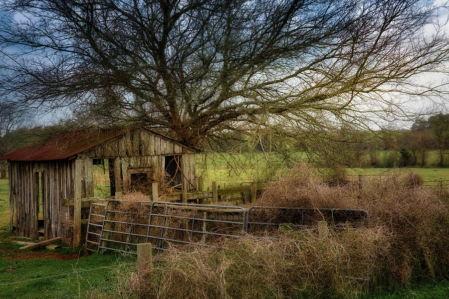 Old Country Shed Photograph By Mike Harlan Fine Art America 2341