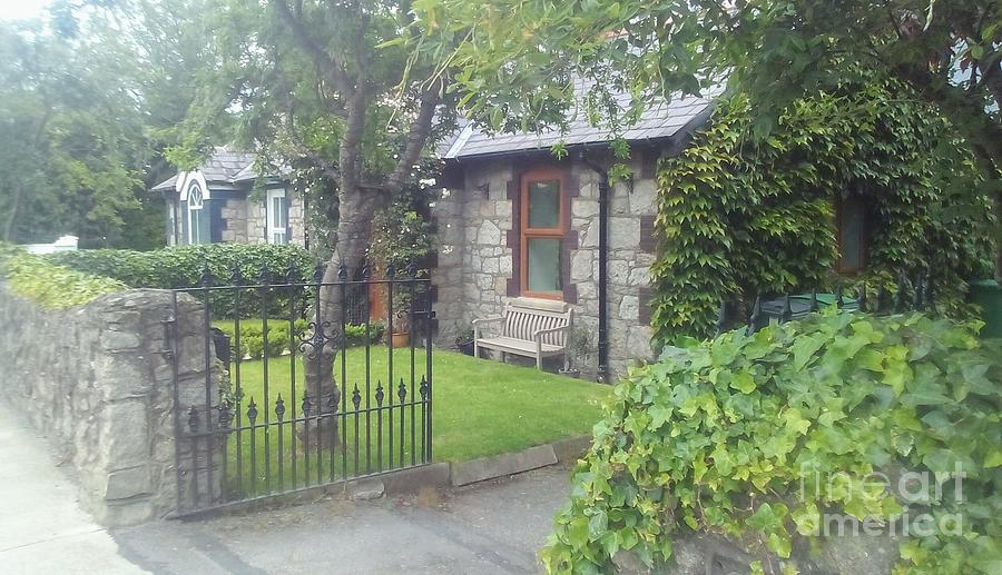 Old Court Cottages Dublin Ireland Photograph By Alan Salinger