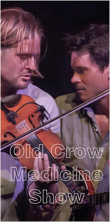 Old Crow 01 Photograph by Micah Offman