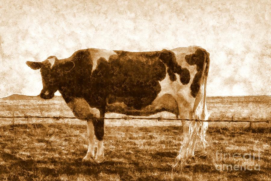 Old Days Gone By - Sepia Dairy Cow Painting by Janine Riley