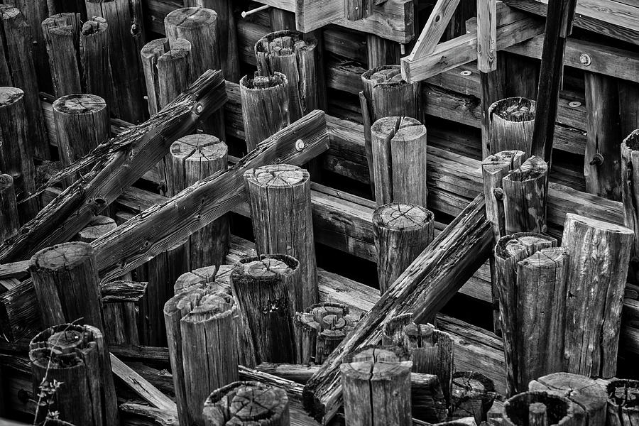 Old Dock Pilings In Black And White Photograph by Garry Gay