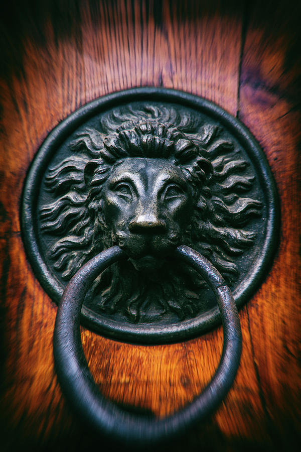 Old Door Knocker With Lion Head Photograph By Artur Bogacki