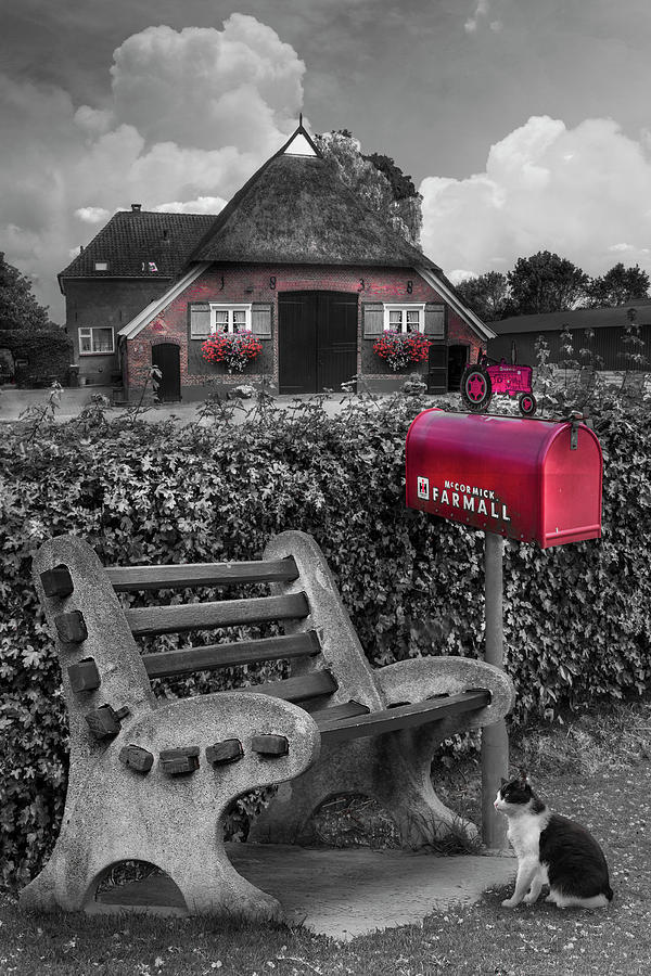 Old Dutch Cottage Black and White with Red color Selected Photograph by Debra and Dave Vanderlaan